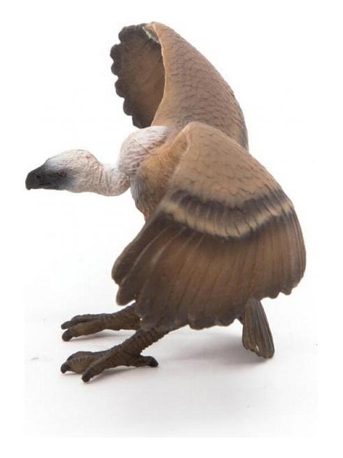 50168 Le Vautour Oiseau Ailes Deployees - Kiabi