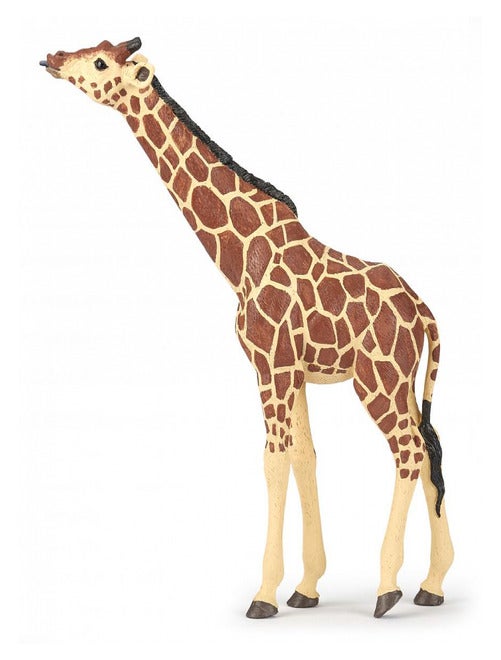 50236 Girafe Tête Levée Savane - Kiabi