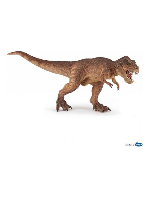 55075 T-rex Courant Marron - Kiabi