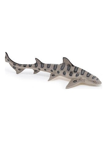 56056 Requin Leopard Marin