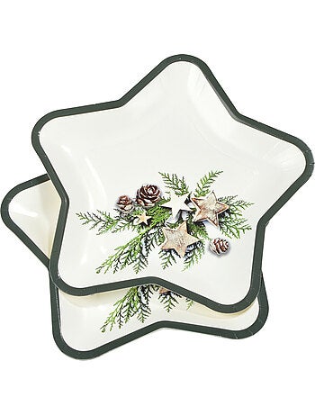 6 assiettes etoile en carton pommes de pin