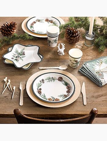 6 assiettes etoile en carton pommes de pin