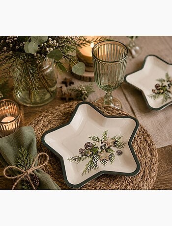 6 assiettes etoile en carton pommes de pin