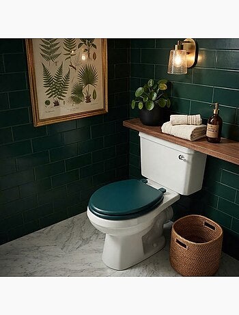 Abattant wc colors uni