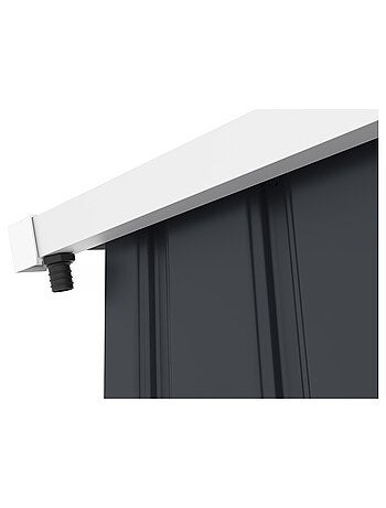 Abri de jardin en métal