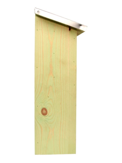 Abri silhouette chauve-souris L - Kiabi