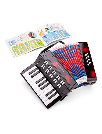 Accordéon noir