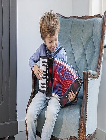 Accordéon noir