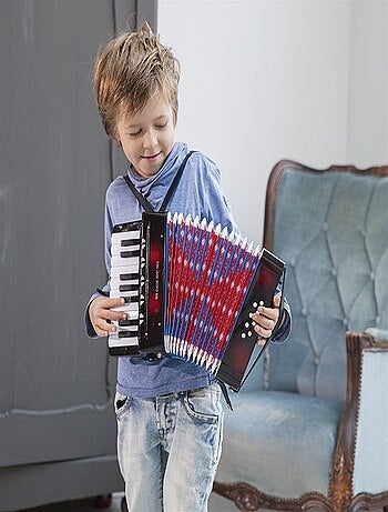 Accordéon noir