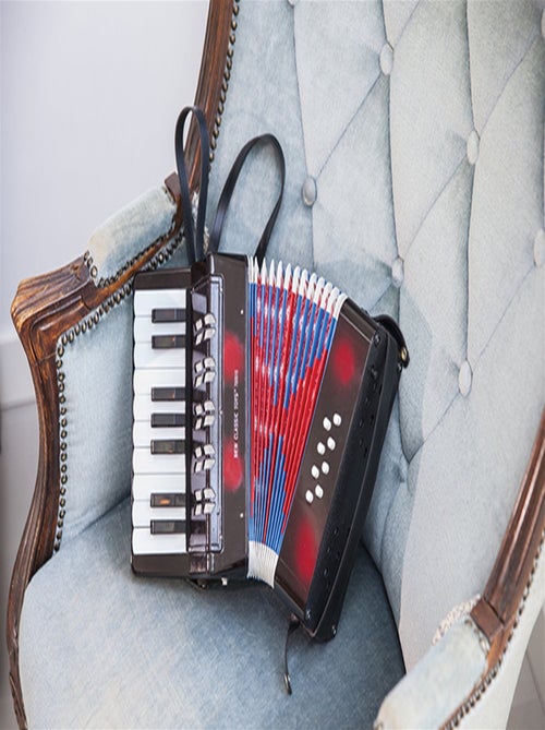 Accordéon noir - Kiabi