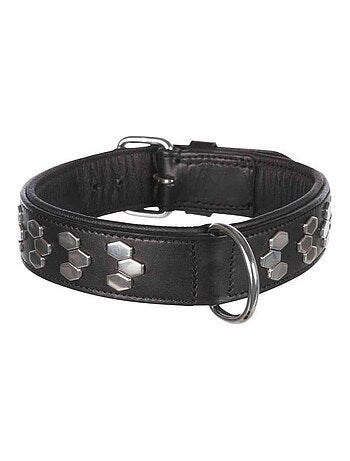 Active collier - Cuir - 45–55 cm - Noir - TRIXIE