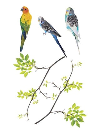 Adhésifs de vitres oiseaux