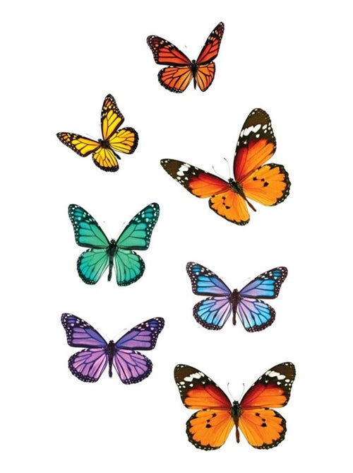 Adhésifs de vitres papillons - Kiabi