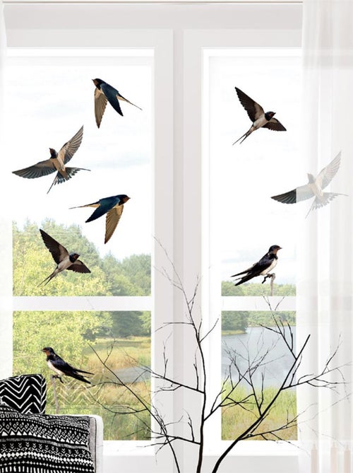 Adhésifs pour vitres hirondelles - Kiabi
