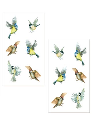 Adhésifs pour vitres oiseaux