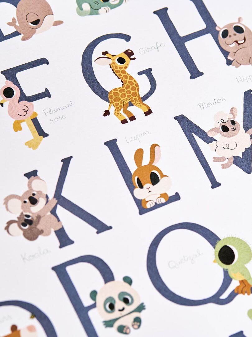 Affiche Abécédaire Des Animaux Blanc - Kiabi