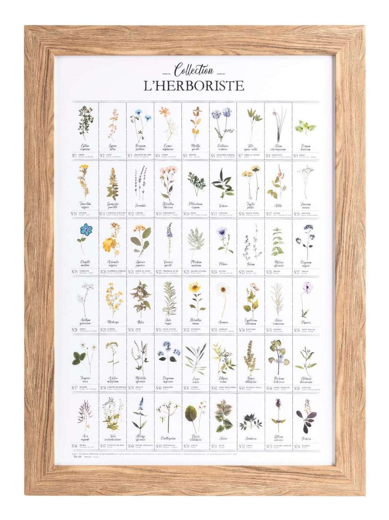 Affiche encadrée HERBORISTERIE Blanc - Kiabi