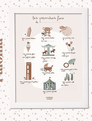 Affiche Mes Premieres Fois