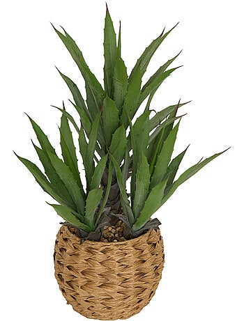 Agave artificiel avec cache-pot tressé moda