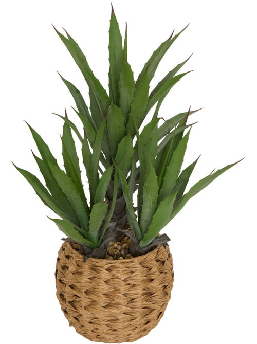 Agave artificiel MODA - Kiabi