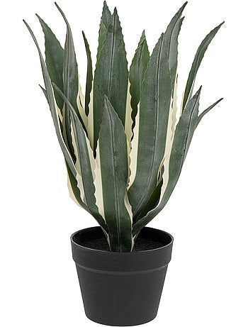 Agave artificiel