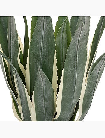 Agave artificiel