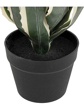Agave artificiel