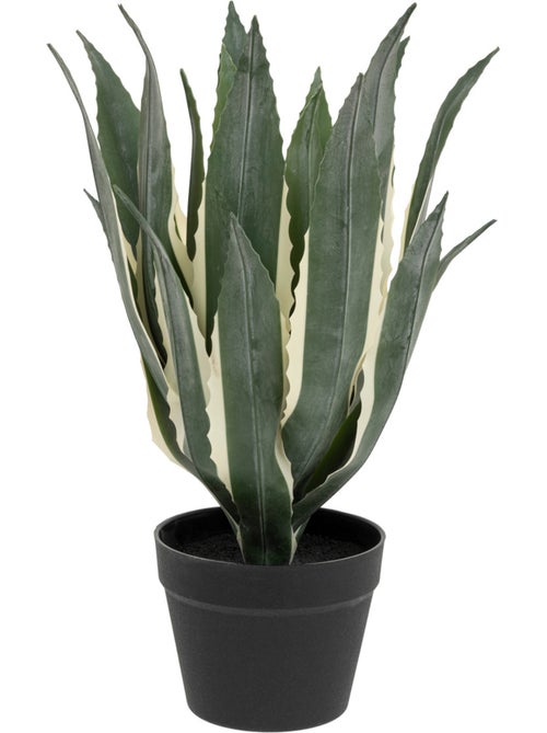 Agave artificiel - Kiabi