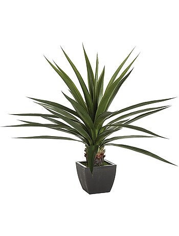 Agave artificielle géante