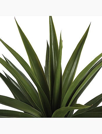 Agave artificielle géante