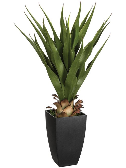 Agave artificielle - Kiabi