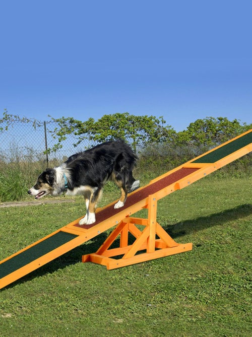 Agility sport pour chien bascule - bascule pour chien - sapin pré-huilé feutre bitumé - Kiabi