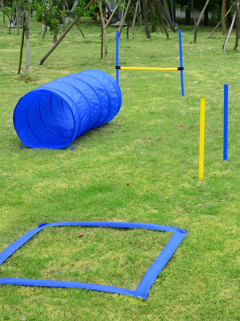 Agility sport pour chiens équipement complet bleu jaune Bleu Bleu - Kiabi