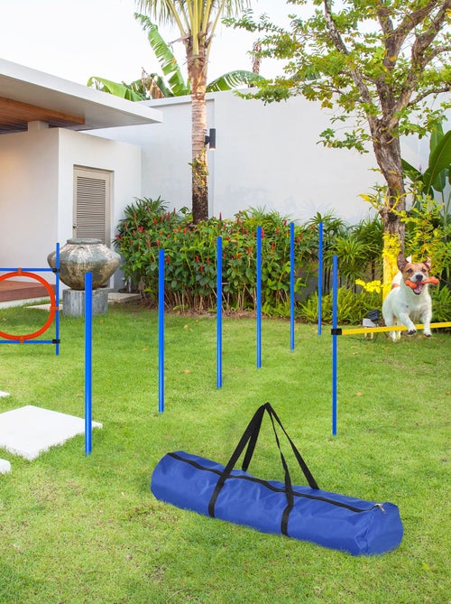 Agility sport pour chiens équipement complet bleu jaune rouge - Kiabi