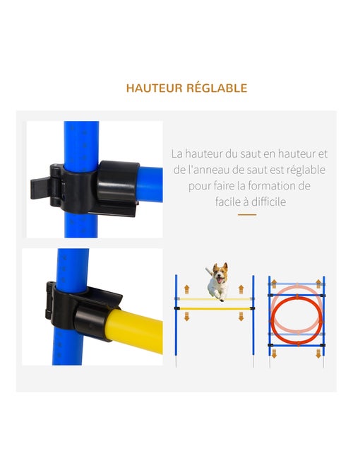 Agility sport pour chiens équipement complet bleu jaune rouge - Kiabi