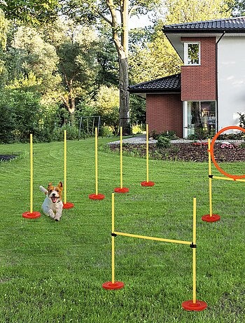 Agility sport pour chiens équipement complet haies, slalom + sac de transport jaune