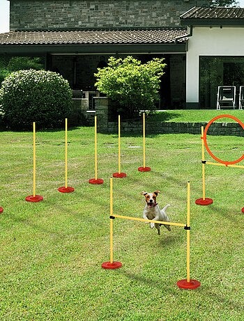 Agility sport pour chiens équipement complet haies, slalom + sac de transport jaune