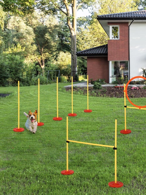 Agility sport pour chiens équipement complet haies, slalom + sac de transport jaune - Kiabi