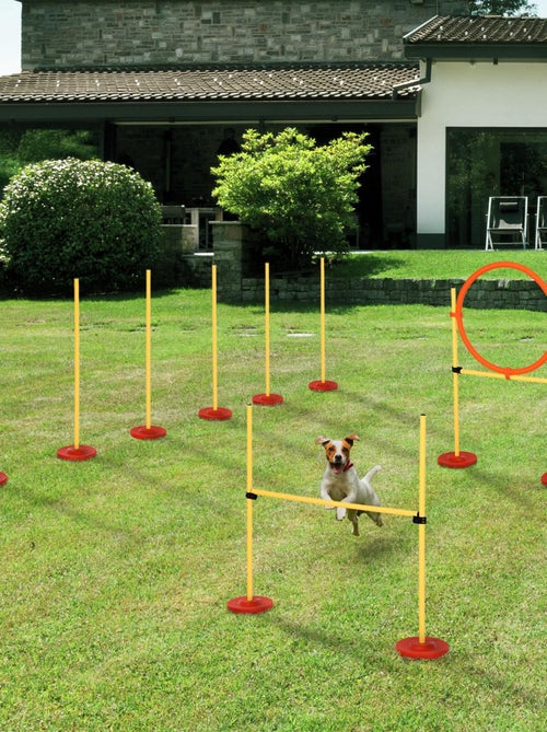 Agility sport pour chiens équipement complet haies, slalom + sac de transport jaune - Kiabi