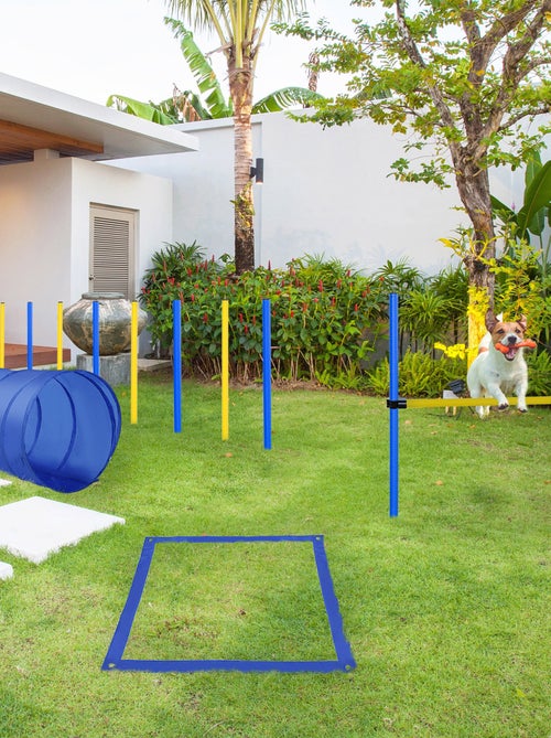 Agility sport pour chiens équipement complet jaune bleu - Kiabi