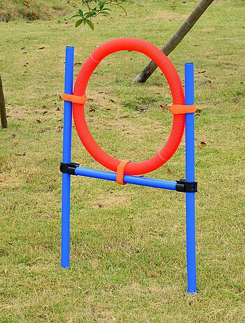 Agility sport pour chiens obstacles + sac transport total 11 pièces acier rouge et bleu