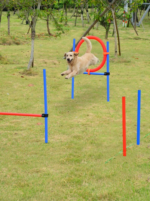 Agility sport pour chiens obstacles + sac transport total 11 pièces acier rouge et bleu - Kiabi