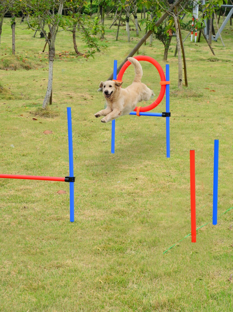 Agility sport pour chiens obstacles + sac transport total 11 pièces acier rouge et bleu Bleu Bleu - Kiabi