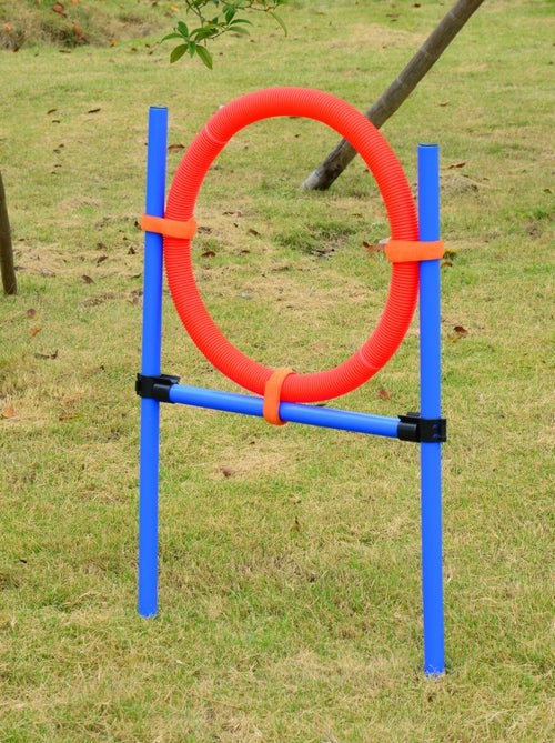 Agility sport pour chiens obstacles + sac transport total 11 pièces acier rouge et bleu - Kiabi