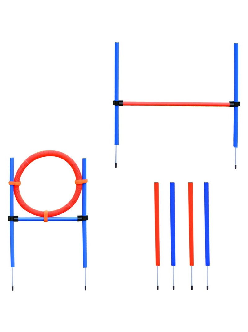 Agility sport pour chiens obstacles + sac transport total 11 pièces acier rouge et bleu Bleu - Kiabi