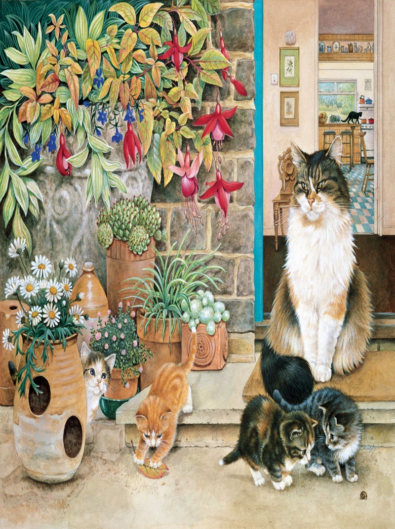 Agneatha et ses chatons d'Ivory N/A - Kiabi