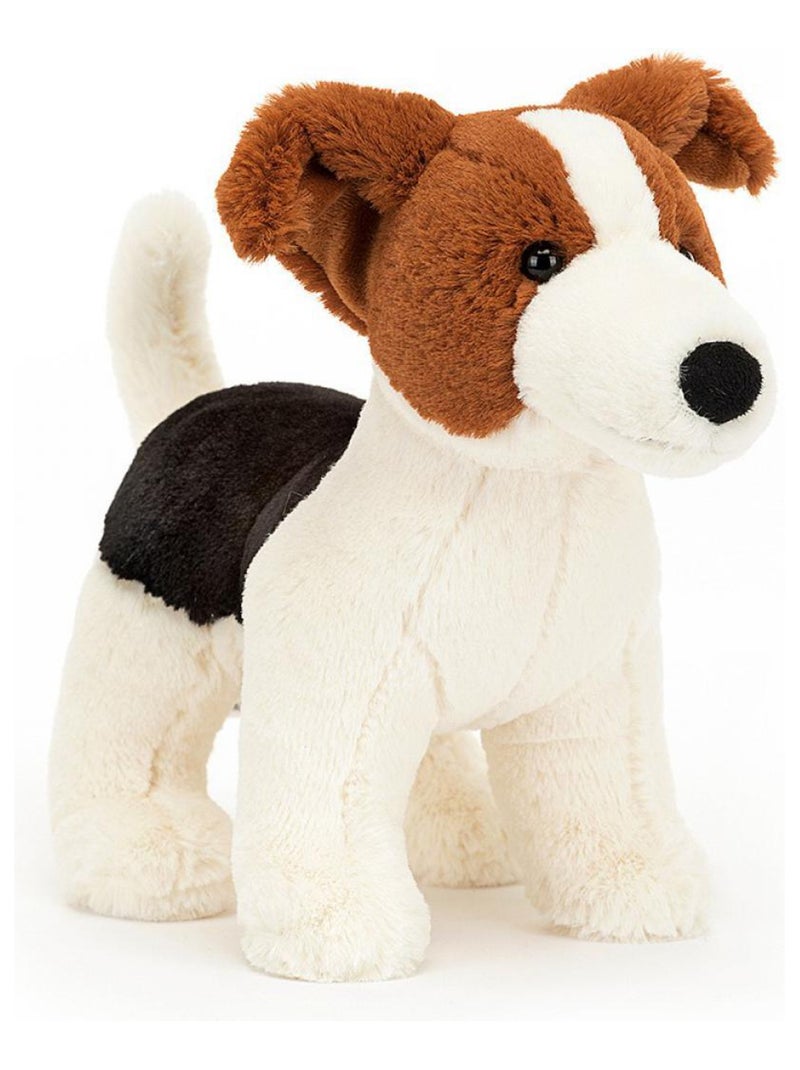 Albert Jack Russell Multicolore - Kiabi