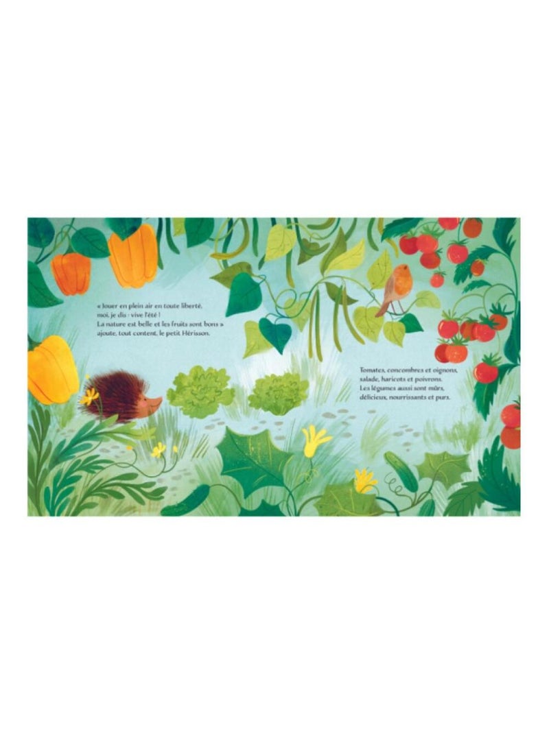 ALBUM ILLUSTRE- L'ÉTÉ N/A - Kiabi