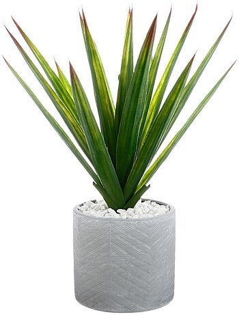 Aloe vera artificiel KIMI