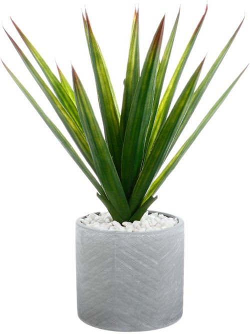 Aloe vera artificiel KIMI - Kiabi Aloe vera artificiel KIMI - Kiabi